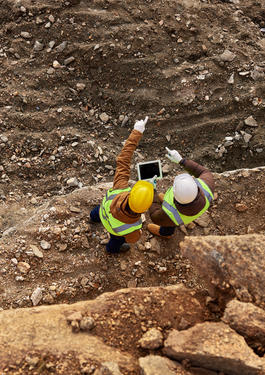 bureau veritas trading mining service