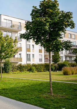 bureau veritas technical due diligence and audit