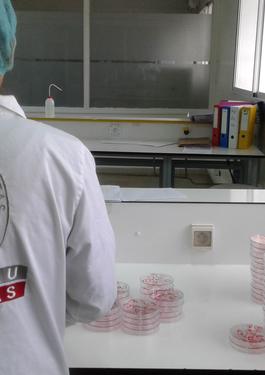 our laboratories in africa bureau veritas