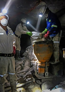 bureau veritas Consultancy Services  Metals & Minerals