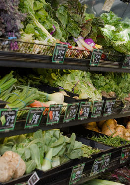 Product Traceability platforms