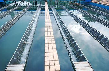 bureau veritas water & sanitation